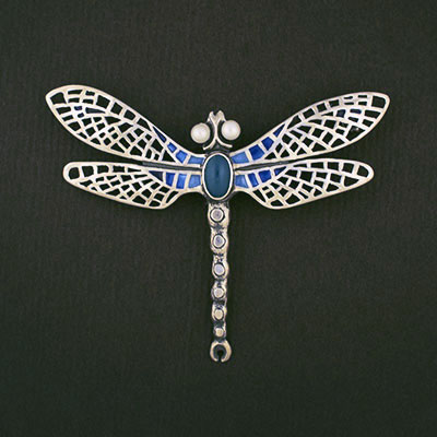 251 – dragonfly – net